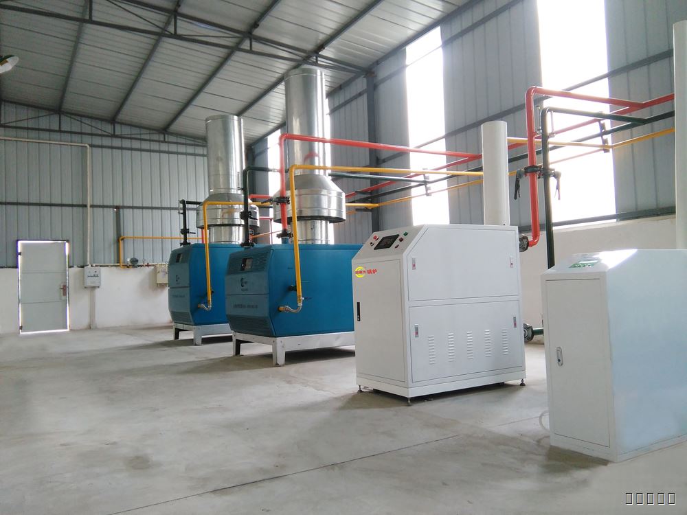 全預(yù)混冷凝低氮變頻燃?xì)忮仩t